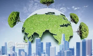 6 Steps to Achieve Carbon Reduction for Businesses